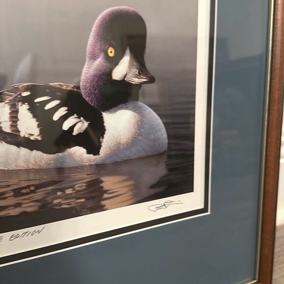 1998 FEDERAL DUCK STAMP PRINT! 1998 BARROW’s GOLDENEYE DRAKE SIGNED  Medallion e - Picture 3 of 9